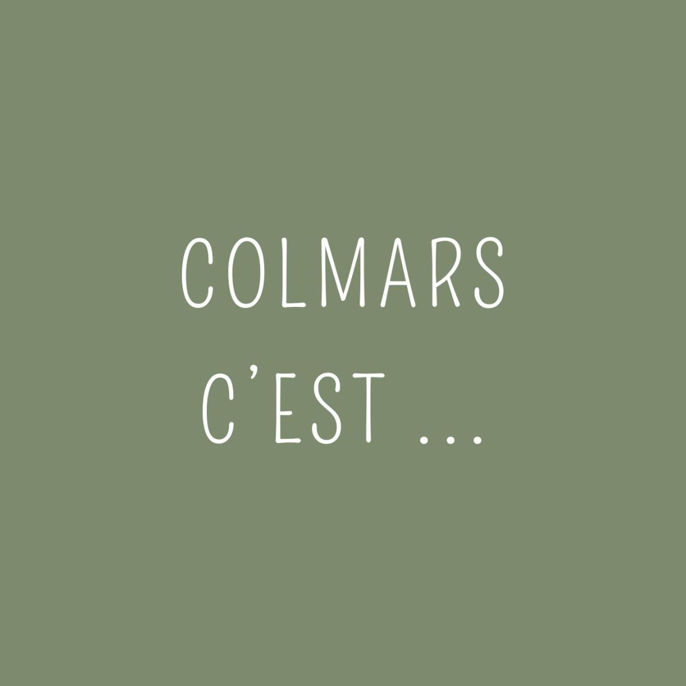Maison Familiale Des Remparts Colmars Buitenkant foto
